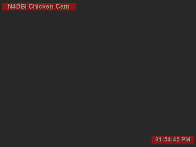 Chicken Cam may be stuck, Wait or try hitting Refresh